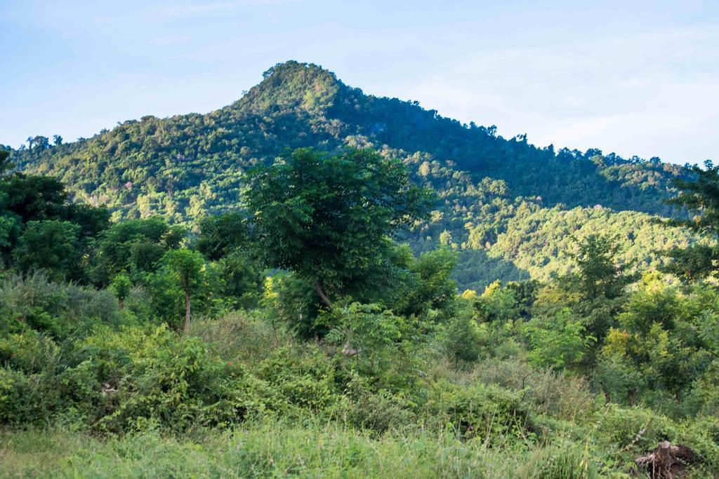 Hobbit'S House Homestay Banyuwedang Eksteriør bilde